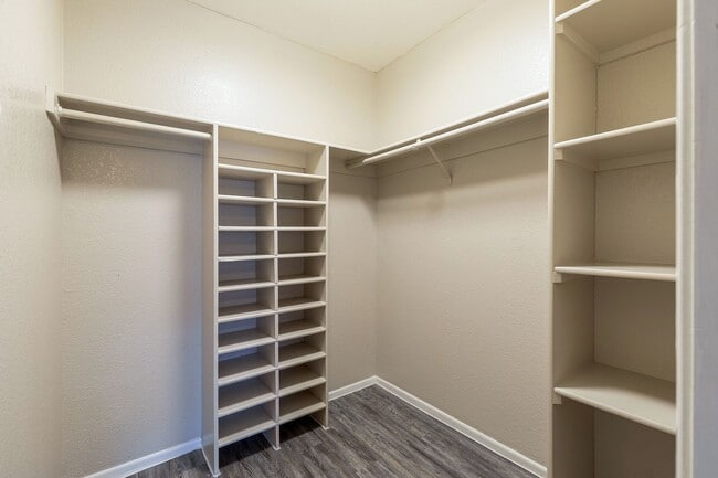 Interior Photo - Lion Tempe Apartment Homes