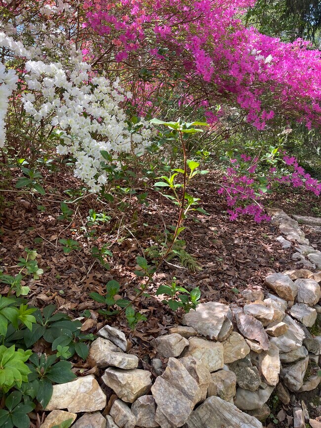 Foto del edificio - 6662 Van Winkle Dr