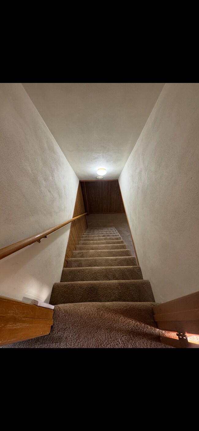 Foto del edificio - 203 Riverview Dr