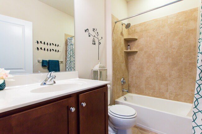 3er baño completo - 4 Meridian Ln