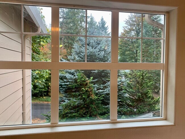 Foto del edificio - 68279 E Twinberry Loop