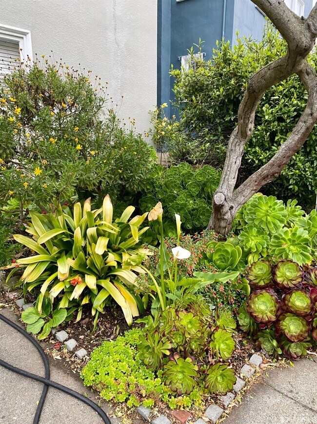 Foto del edificio - 108 Madrone Ave