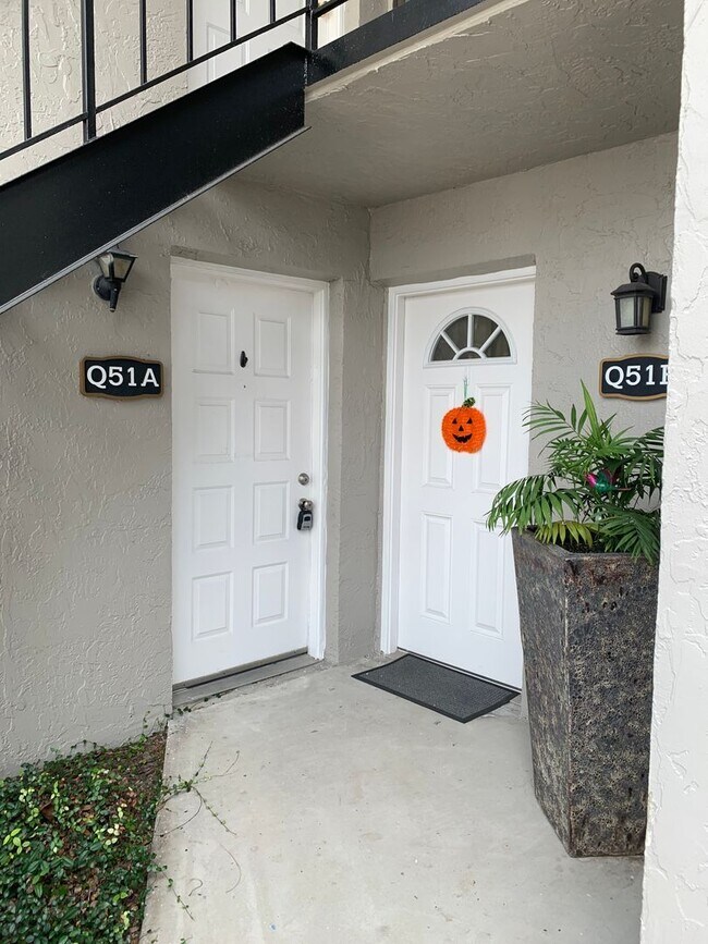 Foto del edificio - South Tampa Condo