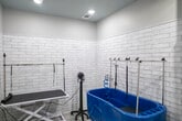 Located on N Memorial Pkwy in Huntsville, Alabama, this single-floor pet grooming facility is purpose-built for self-serve dog washing and grooming. The space is defined by its clean, modern aesthetic, featuring floor-to-ceiling white brick-style tile walls that lend both a polished appearance and practical, easy-to-clean surfaces throughout.

The main grooming area is equipped with a professional-grade black grooming table fitted with an overhead stainless steel arm and restraint loops, allowing for safe and secure handling during grooming sessions. Adjacent to the table is a standout cobalt blue bathing tub, deep and spacious in design, with a non-slip rubber mat at the base and an overhead restraint bar with multiple attachment points for added safety. A coiled blue hose and sprayer are mounted nearby for convenient bathing access.

A standalone blow dryer on a wheeled stand completes the grooming setup, providing all the essentials in one compact, well-organized area. The space also includes private room access through multiple doors, offering separation between functional zones. Light wood-look flooring ties the room together, complementing the bright tile walls and contributing to the facility's hygienic, welcoming environment. Posted dog wash rules ensure a consistent, user-friendly experience for all visitors.