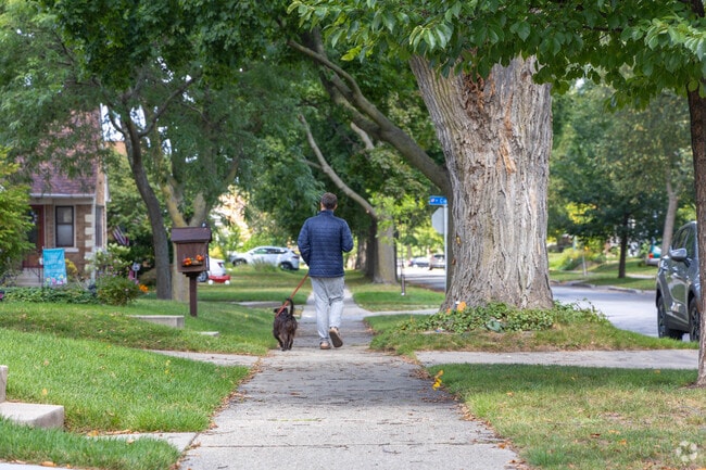 A Wauwatosa resident takes their dog on a walk.