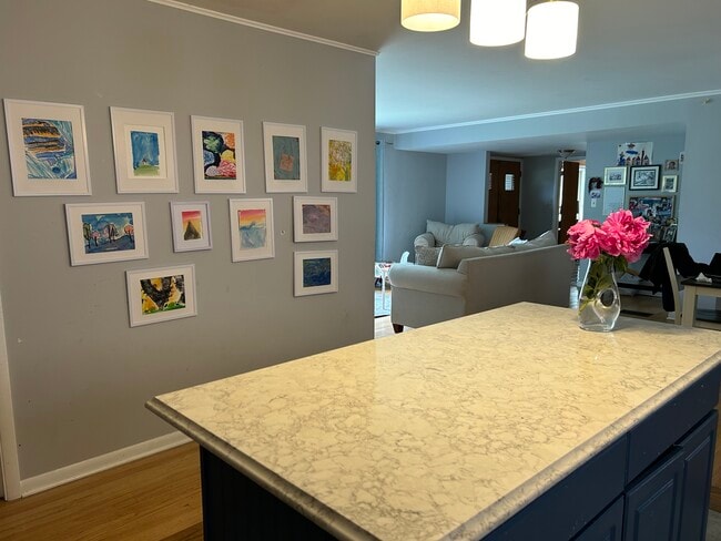 Kitchen island - 1620 S Washington Ave