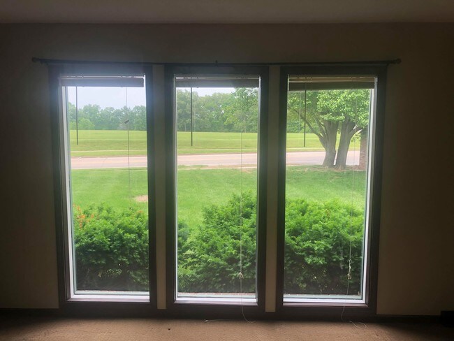 View from Living Room - 332 Southampton Dr