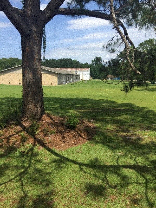 Foto principal - 36 Jackson Wood Ct