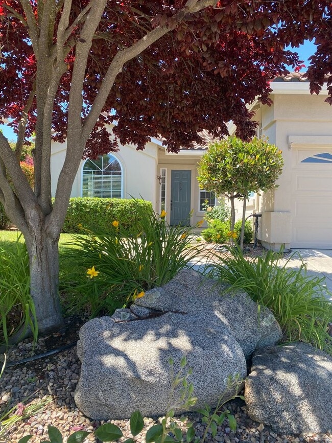 Foto del edificio - 4 bedroom in Paso Robles