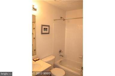 Building Photo - 3211 Halcyon Ct