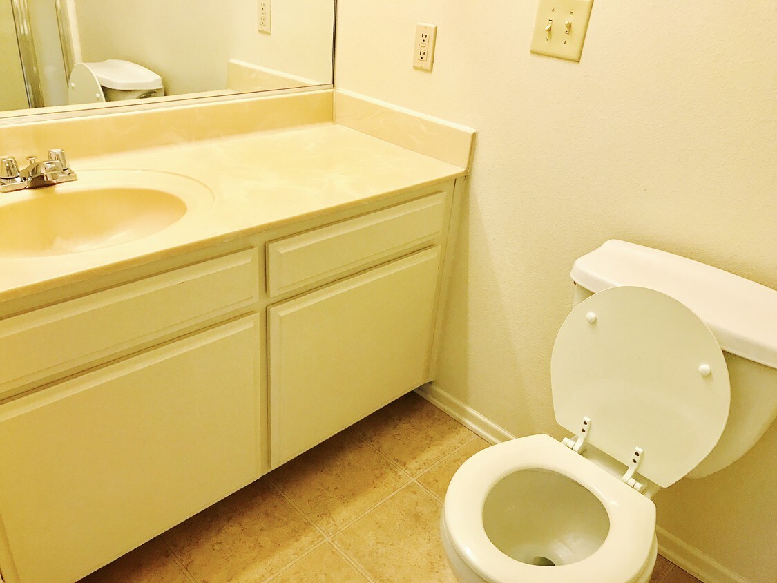 Long Beach Apartments For Rent Pet Friendly Long Beach Apartments For Rent Pet Friendly
