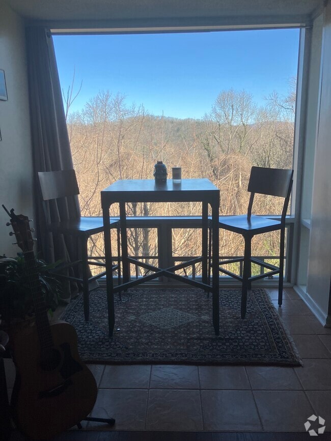 Town Mountain Student Apartments for Rent Asheville, NC 4 Rentals