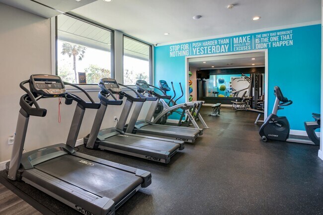 Aqua At Windmeadows Apartments Gainesville Fl Apartments Com