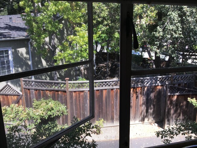 Kitchen window - 522 Chestnut St