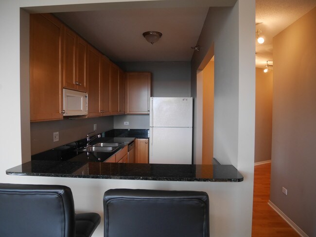 Old Kitchen photo - now has a new stainless fridge - 400 N LaSalle Dr