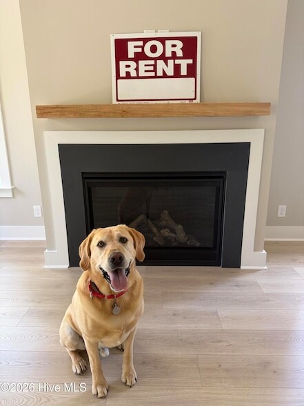 Building Photo - 1314 Carlyle Ln