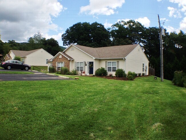 Building Photo - Black Mountain Townhome