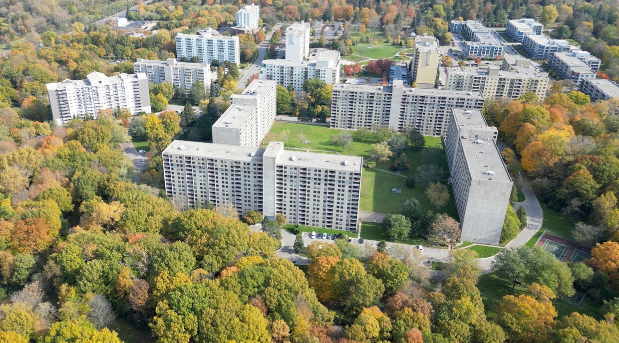 Primary Photo - Forest Hill