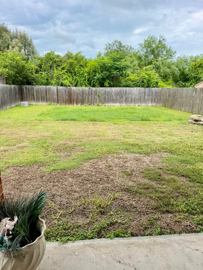 Foto del edificio - 3310 Legacy Ln
