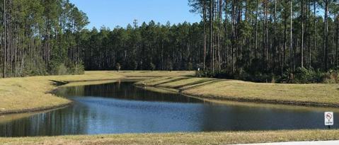 Foto del edificio - 219 Scotch Pebble Dr