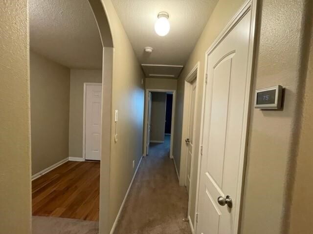 Foto del edificio - 1215 Wallflower Ave