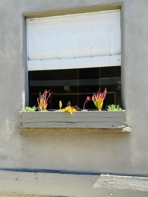 Caja de ventana - 315 Marine Pl