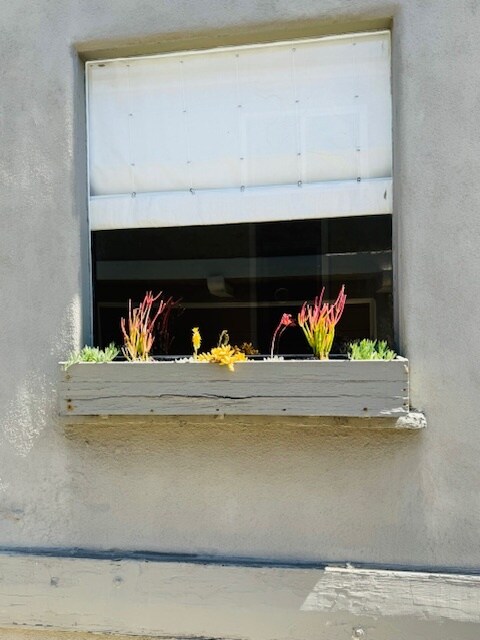 Window Box - 315 Marine Pl