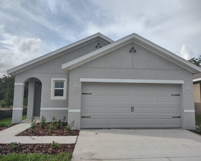 17006 Oval Rum Dr, Wimauma, FL 33598 House Rental in Wimauma, FL