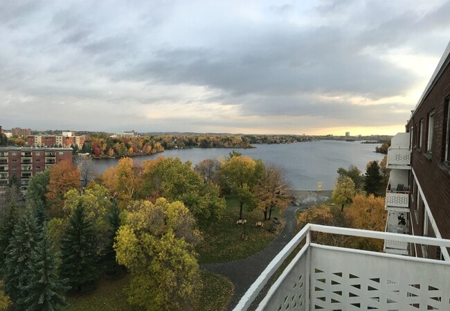 Building Photo - Casadolfo Apartments