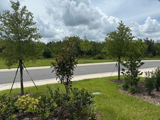 Building Photo - 2642 Angel Falls Dr