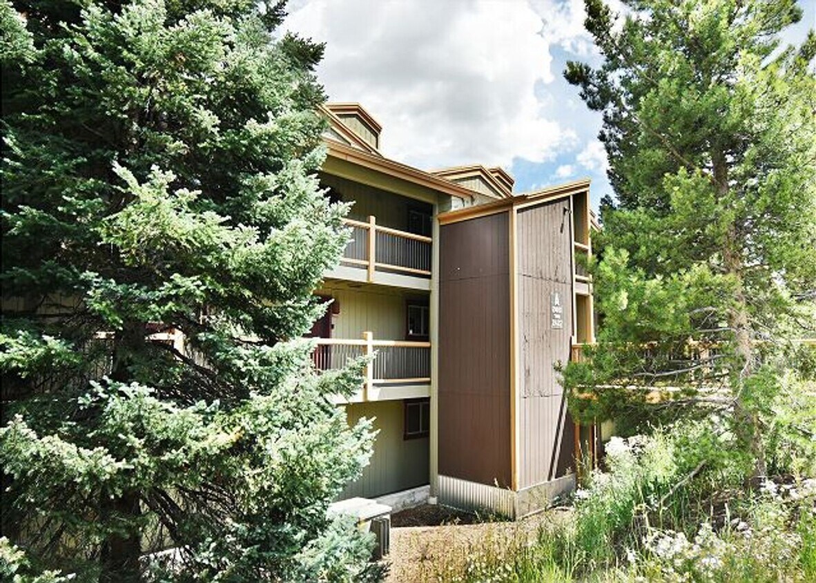 2419 Ryan Gulch Ct, Silverthorne, CO 80498 House Rental in