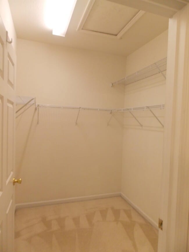Building Photo - 210 Nut Hatch Ln
