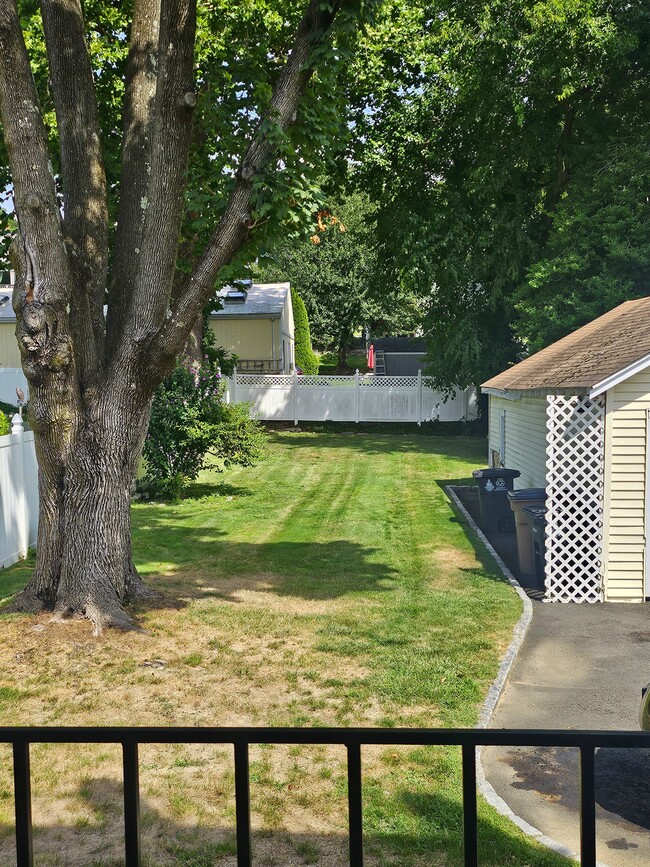 Back yard - garbage/recycle bin (right) - 51 Colonial Rd
