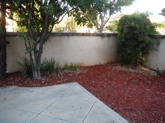Backyard patio - 10814 Duroy Ct