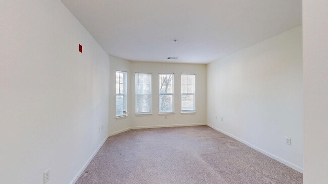 Interior Photo - Bradlee Danvers