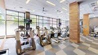 Located at 742 Columbus Ave in Boston's South End, this fitness center offers a generously sized, single-floor exercise space designed with both functionality and aesthetics in mind. The open floor plan accommodates a comprehensive range of workout equipment, including rows of treadmills, ellipticals, recumbent bikes, and cable machines, as well as a dedicated free weights area stocked with dumbbells, medicine balls, and adjustable benches.

The interior design strikes a balance between contemporary and warm, featuring striking wood-paneled accent walls and columns that contrast with cool grey textured walls and a modern drop ceiling with recessed linear lighting. Large floor-to-ceiling windows along the perimeter flood the space with natural light and provide views of the surrounding Boston streetscape, creating an energizing workout environment. Mounted flat-screen TVs are positioned throughout for entertainment.

The flooring transitions between a geometric-patterned carpet tile in the cardio and strength zones and durable dark rubber flooring in the free weights area, clearly delineating functional spaces. Mirrors are strategically placed to enhance the sense of openness. A glass-enclosed area near the entrance adds to the modern, transparent feel of the facility. The overall ambiance is clean, bright, and professionally appointed, making it a well-equipped destination for a full fitness routine.