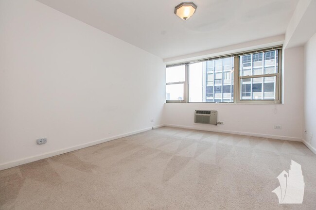 Building Photo - 1 bedroom in Chicago IL 60611