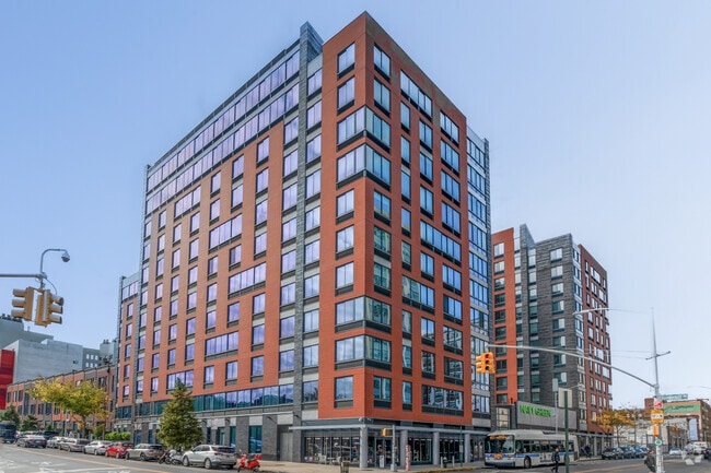 8 Vanderbilt Ave - Navy Green
