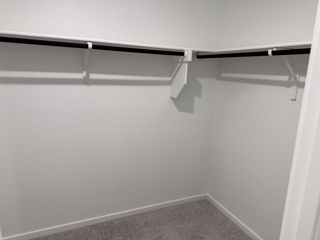 Walk-In Closet - 1355 Wedgeleaf Ln