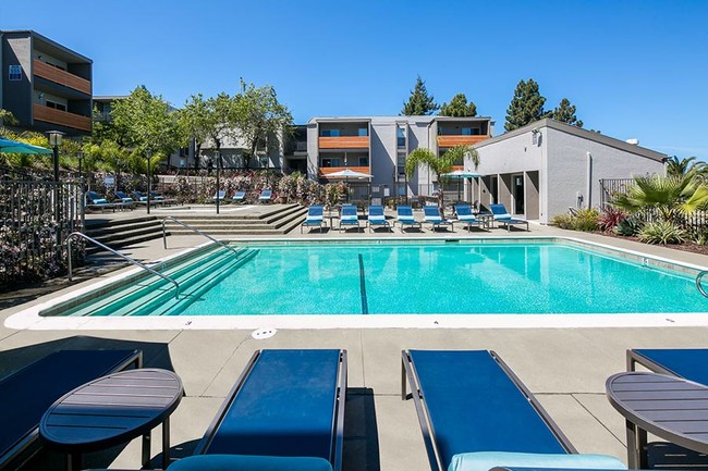 Spend a day poolside - Bayside Apartment Homes