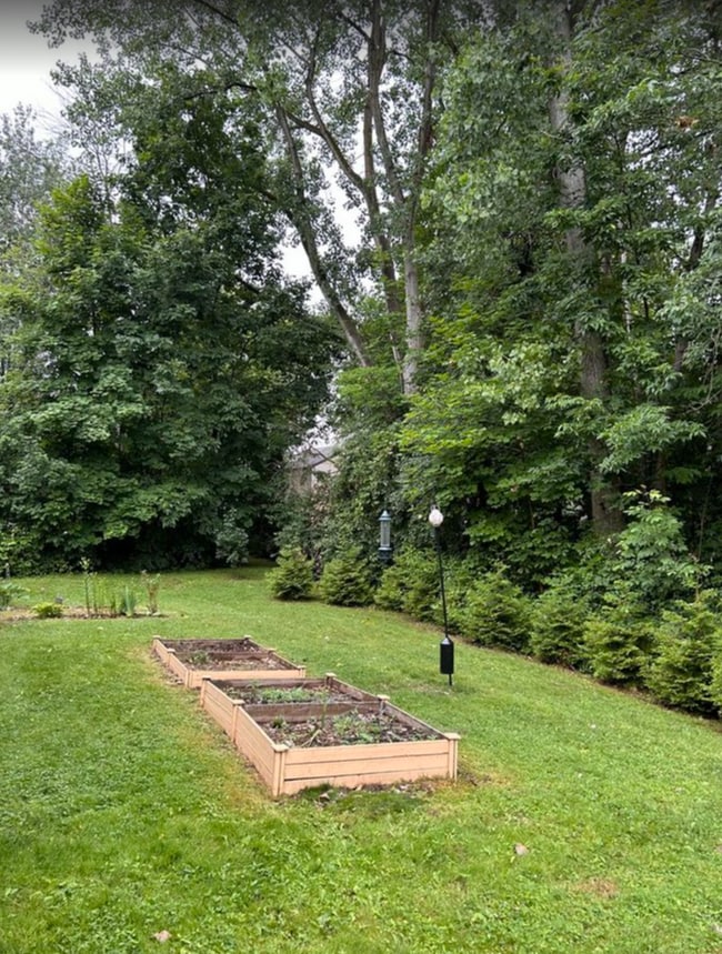 Front Yard - 3114 Burrwood Dr