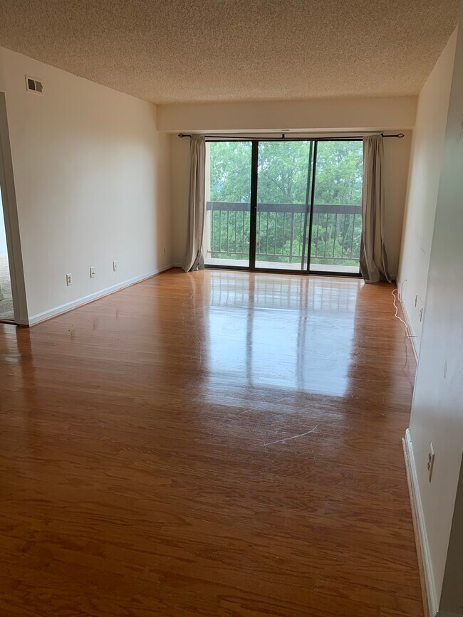 Living room - 807 N Howard St