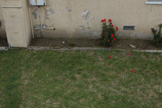 Yard - 7123 Lime Ave