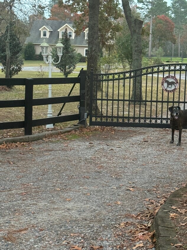 Looking in from road. Gated property - 970 Shell Bluff Dr