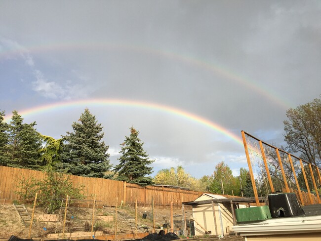 Back yard view - 5348 W Hill Rd