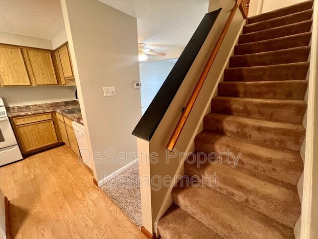 Building Photo - 1105 Bonnie Brae Dr