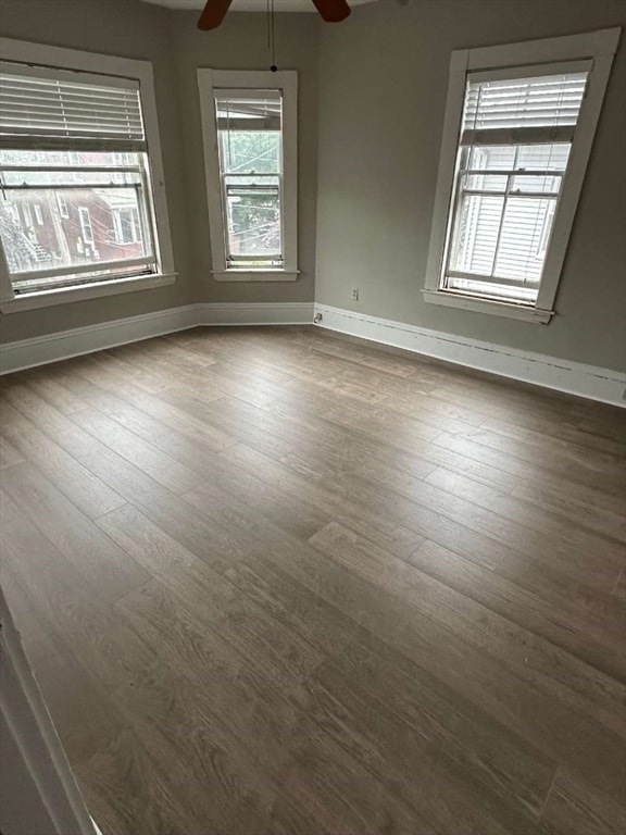 Primary Photo - 5 Wellington Ave