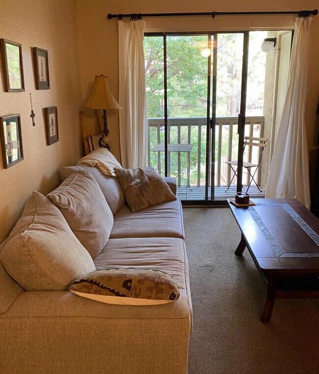 Living Room & Deck - 941 Calle Mejia