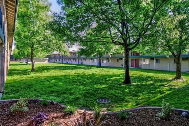 Interior Photo - McClellan Apartments