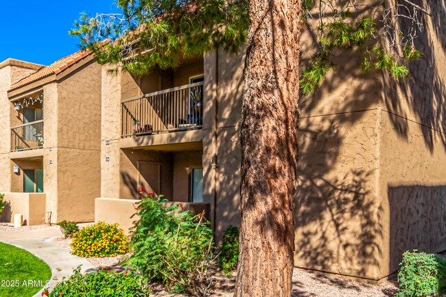 Building Photo - 8256 E Arabian Trail